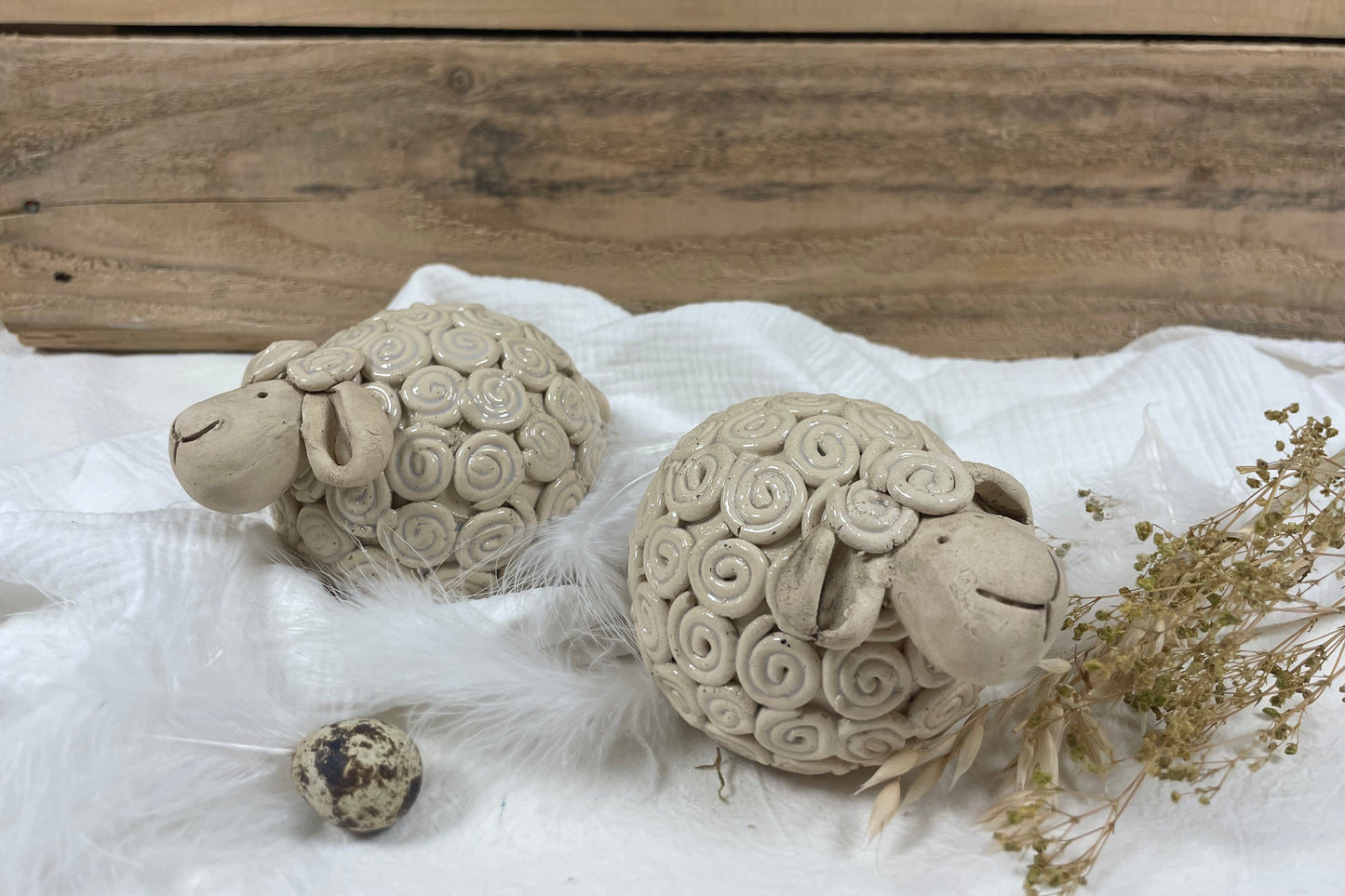 Schaap met krulletjes