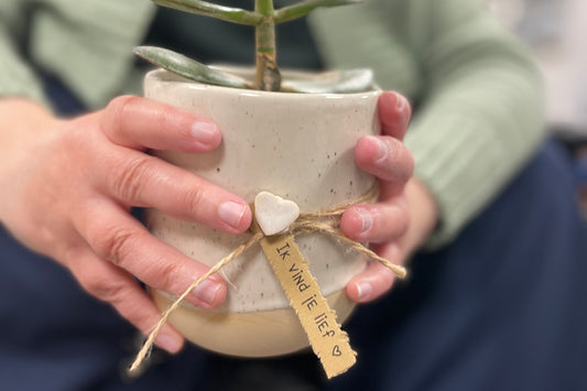 Valentijn bloempotje