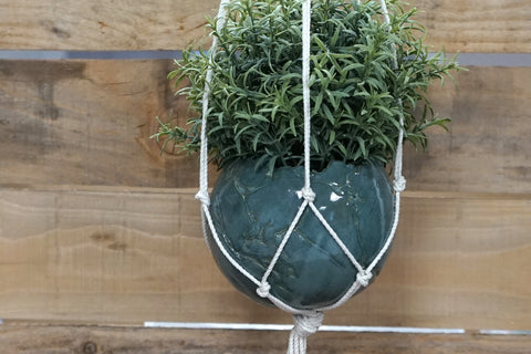 Plantenhanger