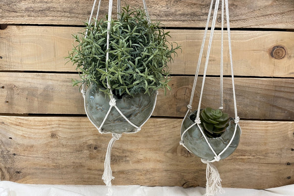 Plantenhanger