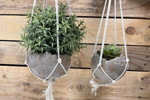 Plantenhanger